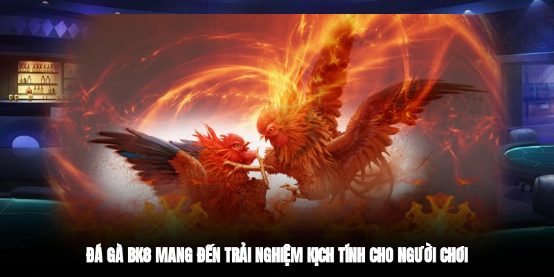 Đá gà BK8 mang đến trải nghiệm kịch tính cho người chơi